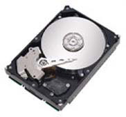 Seagate NL35 Series ST3250624NS Seagate NL35 Series ST3250624NS